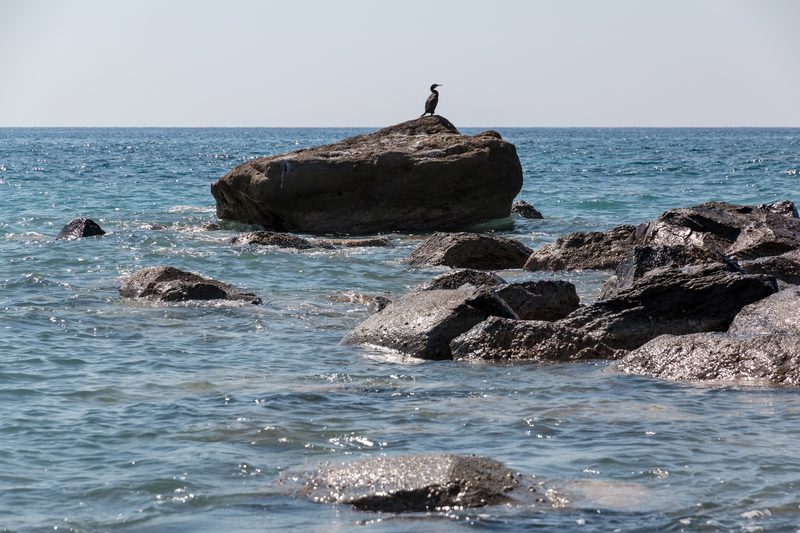 A serene view of Vlychada Beach in Exomitis, Santorini, with unique rock formations and calm waters.