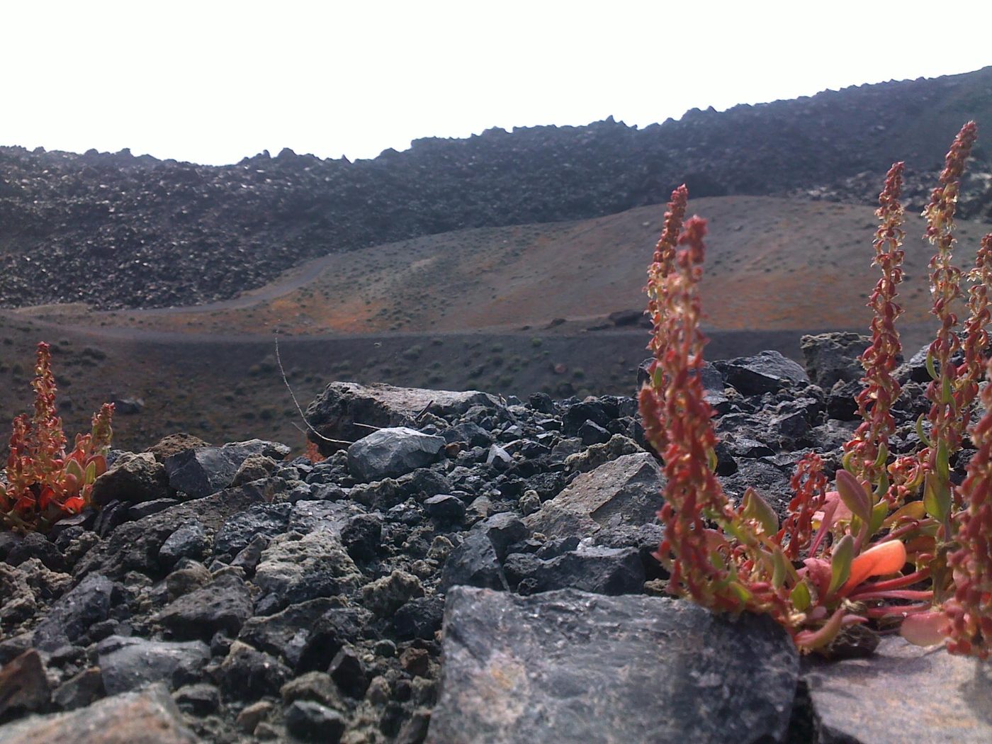The volcanic crater and lava landscape of Nea Kameni island, Santorini